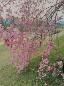 s2.jpg